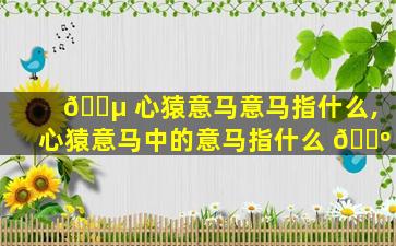 🐵 心猿意马意马指什么,心猿意马中的意马指什么 🌺
